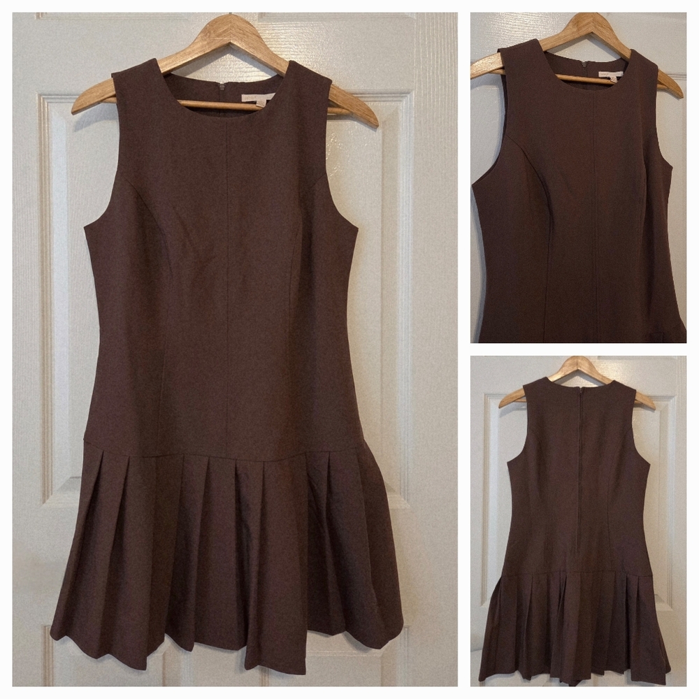 New Pleated Drop-Waist Mini Dress